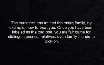 A bit about narcissistic family dynamics